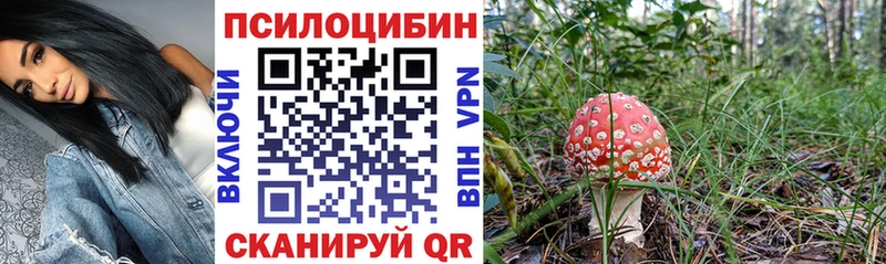 Псилоцибиновые грибы Psilocybe  Купить закладки  Верхоянск 